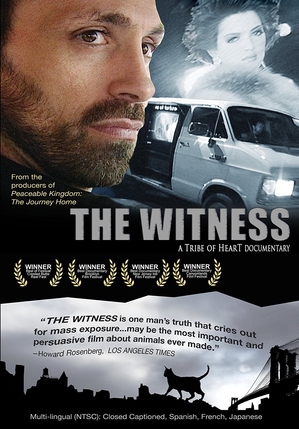 Projection ANIMALTER :  "The Witness"
