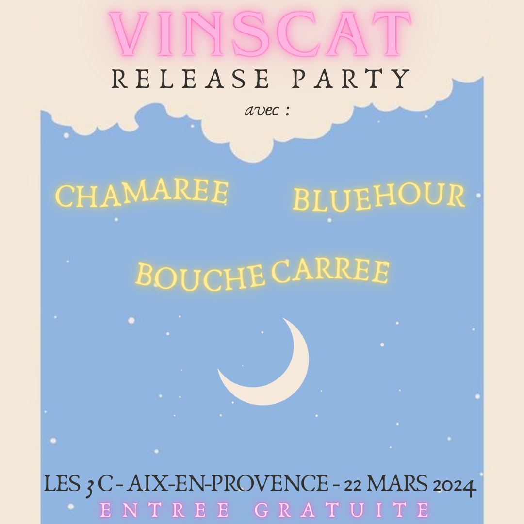 Release Party by Vinscat