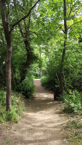 Balade flore sauvage au bois de la Cortésine