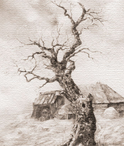 Conte - Sourcière