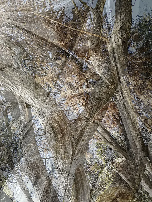 Vernissage de l'exposition - Arbres voutés - Nathalie Garrigou